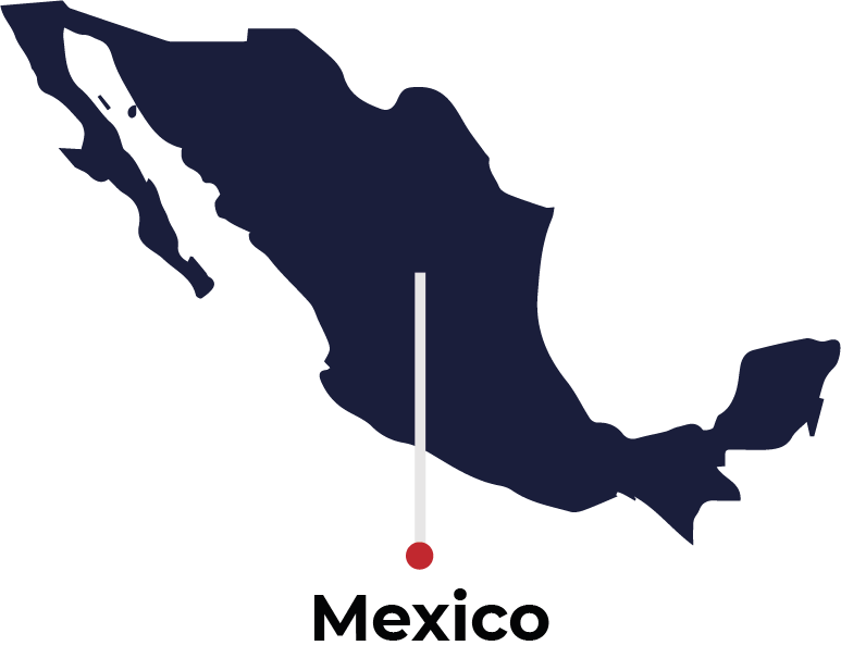 Mexico Specialized Services Outsourcing